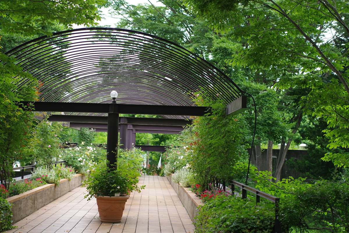 Terrasse bois finie avec plantations en pot à Carquefou