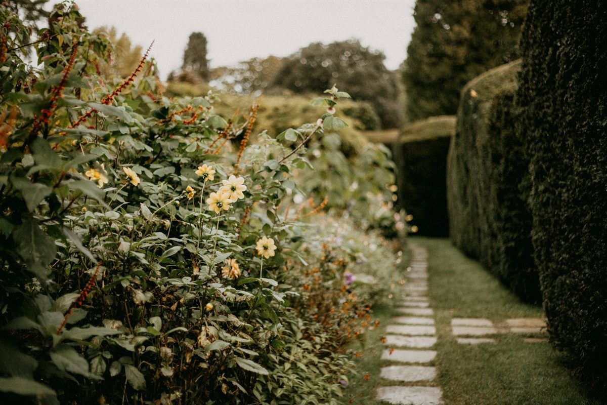 Détail d'un jardin entretenu par Jardins de l'Erdre