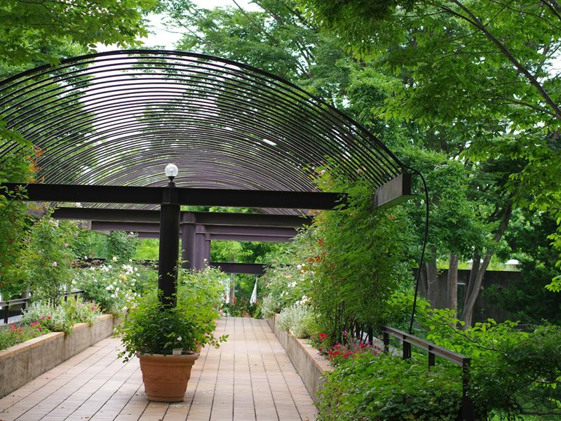 Aménagement de terrasse bois et plantations à Carquefou