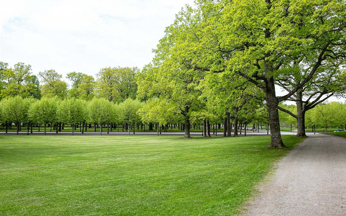 Entretien annuel d'un parc privé 1500 m² à Joué-sur-Erdre
