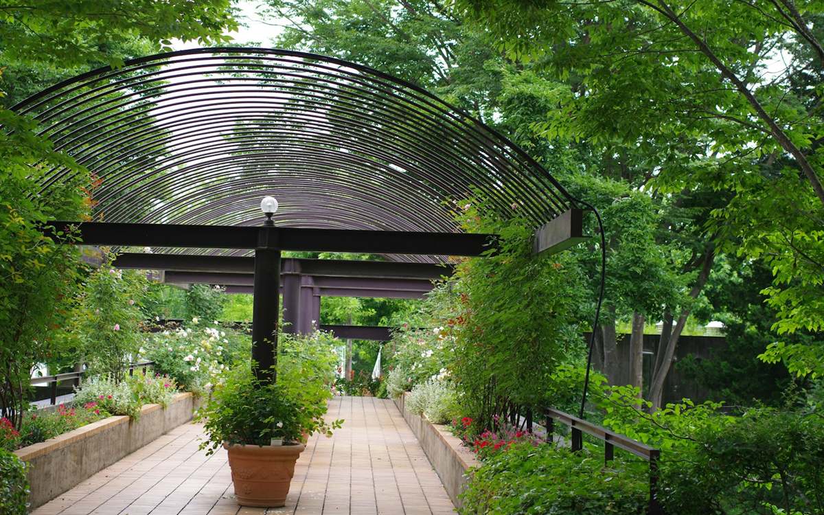 Terrasse bois et plantations en pot à Carquefou